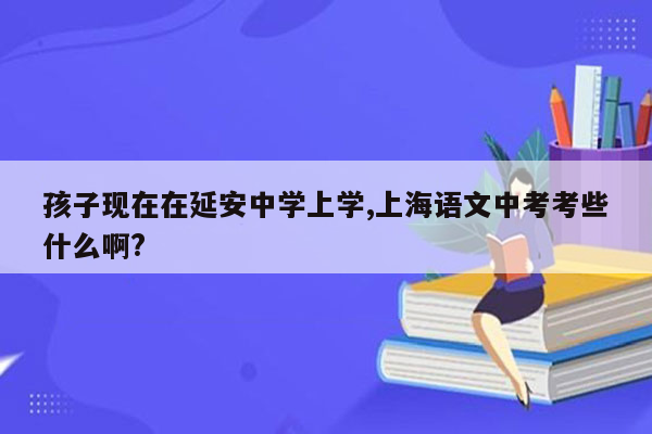 孩子现在在延安中学上学,上海语文中考考些什么啊?