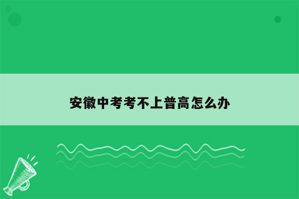 安徽中考考不上普高怎么办