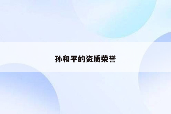 孙和平的资质荣誉