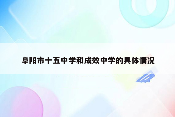 阜阳市十五中学和成效中学的具体情况