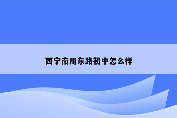 西宁南川东路初中怎么样