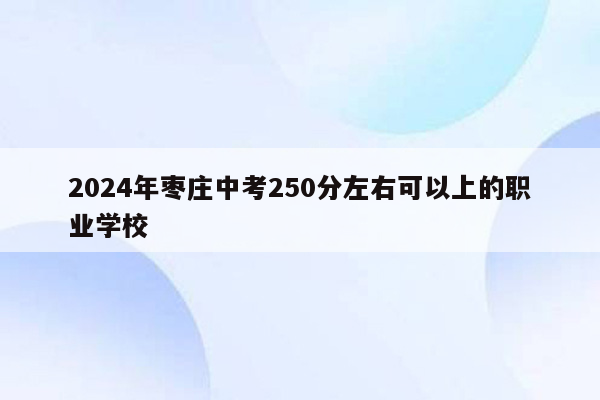 2026年枣庄中考250分左右可以上的职业学校