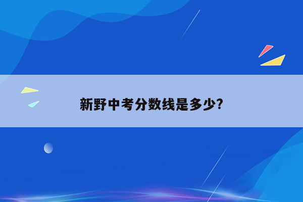 新野中考分数线是多少?