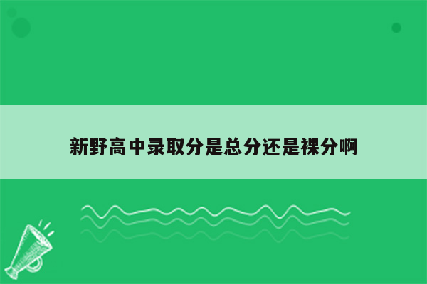 新野高中录取分是总分还是裸分啊