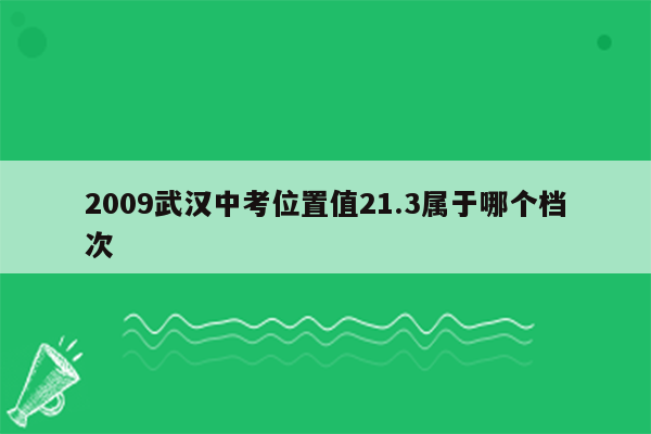 2009武汉中考位置值21.3属于哪个档次