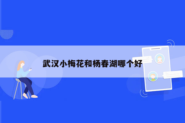 武汉小梅花和杨春湖哪个好