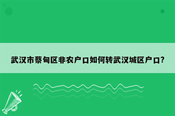 武汉市蔡甸区非农户口如何转武汉城区户口?