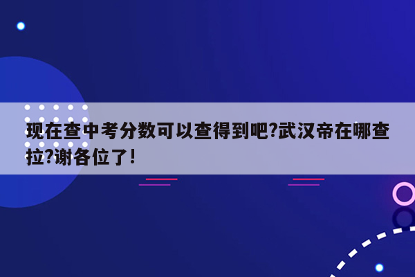 现在查中考分数可以查得到吧?武汉帝在哪查拉?谢各位了!