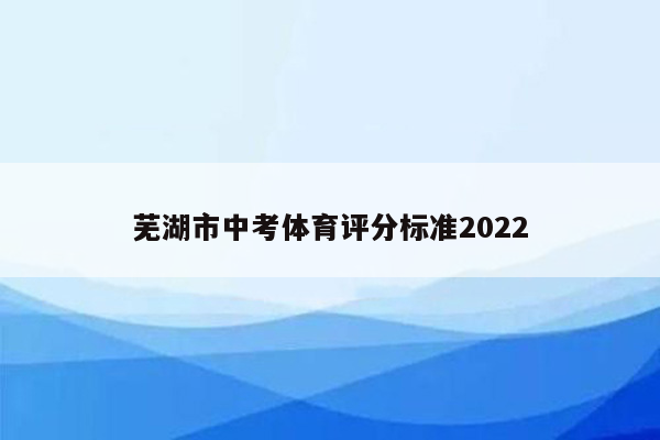 芜湖市中考体育评分标准2022