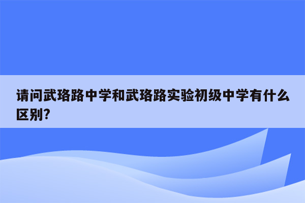 请问武珞路中学和武珞路实验初级中学有什么区别?