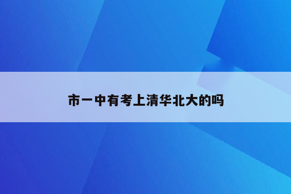 市一中有考上清华北大的吗