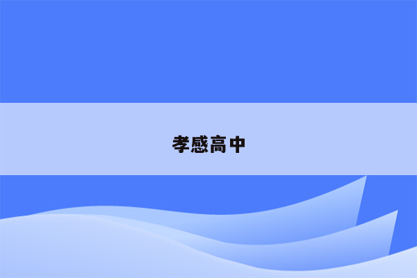 孝感高中