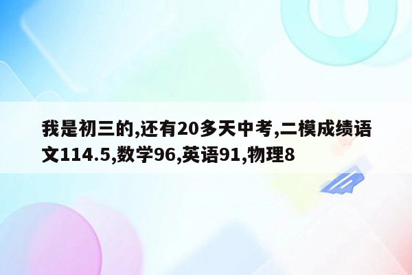 我是初三的,还有20多天中考,二模成绩语文114.5,数学96,英语91,物理8