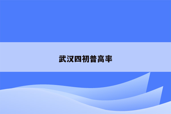 武汉四初普高率
