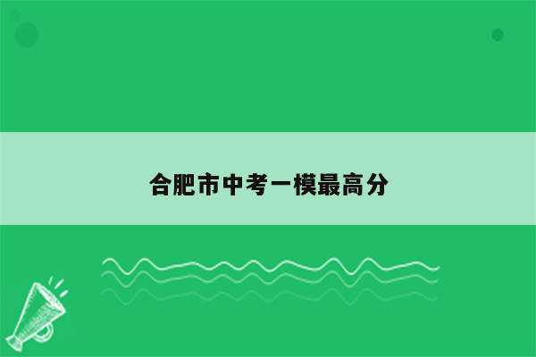 合肥市中考一模最高分