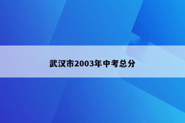 武汉市2003年中考总分
