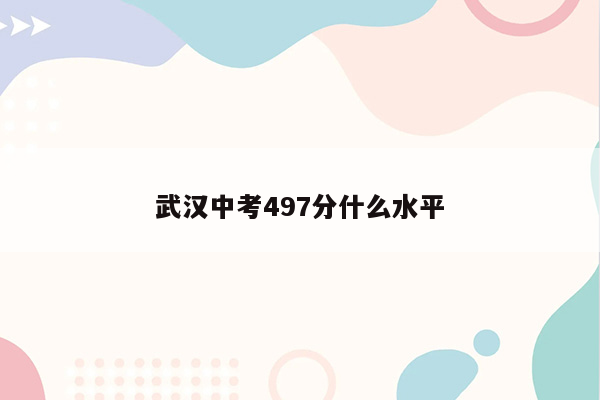 武汉中考497分什么水平