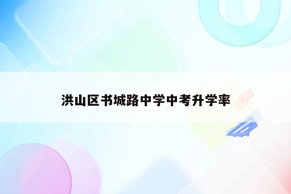 洪山区书城路中学中考升学率