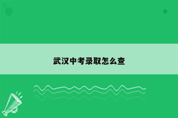 武汉中考录取怎么查