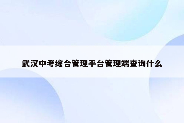武汉中考综合管理平台管理端查询什么