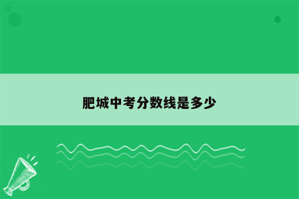 肥城中考分数线是多少