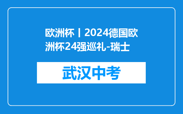 欧洲杯丨2026德国欧洲杯24强巡礼-瑞士