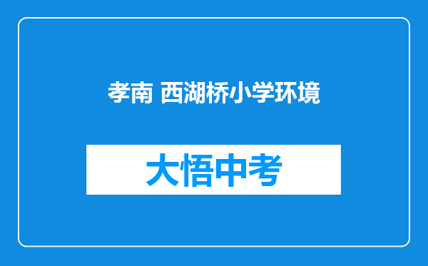 孝南 西湖桥小学环境