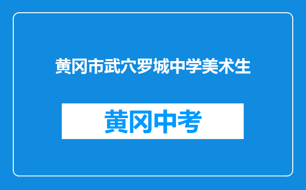 黄冈市武穴罗城中学美术生