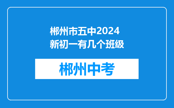 郴州市五中2024新初一有几个班级