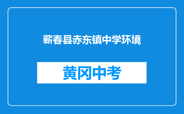蕲春县赤东镇中学环境