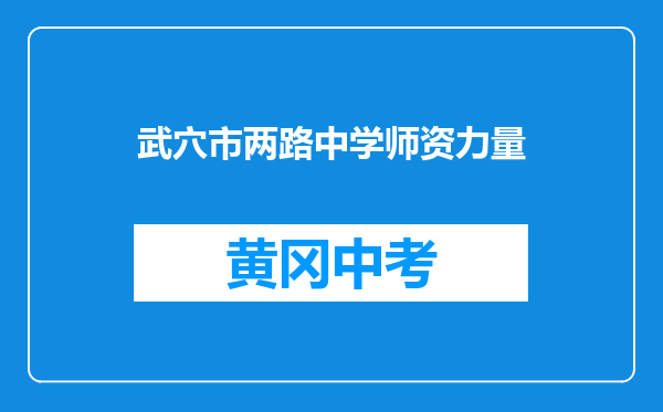 武穴市两路中学师资力量