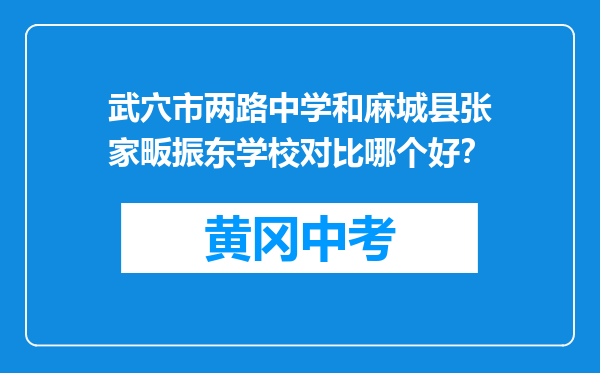 武穴市两路中学和麻城县张家畈振东学校对比哪个好？