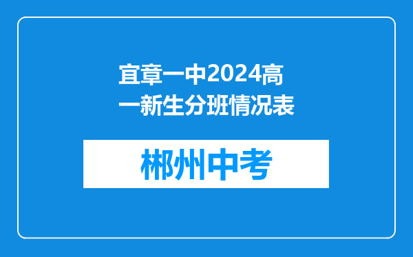 宜章一中2024高一新生分班情况表