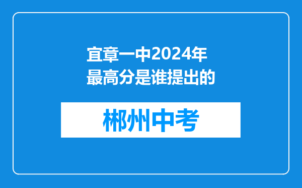 宜章一中2024年最高分是谁提出的