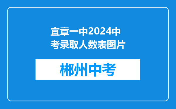 宜章一中2024中考录取人数表图片