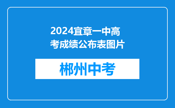 2024宜章一中高考成绩公布表图片