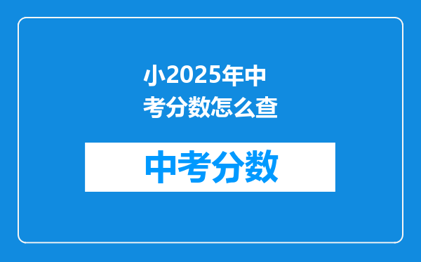 小2026年中考分数怎么查