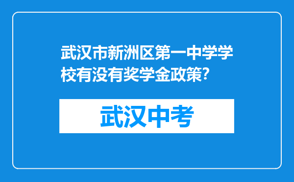 武汉市新洲区第一中学学校有没有奖学金政策？