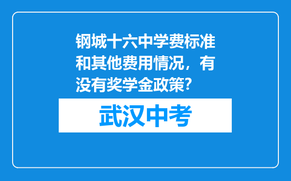 钢城十六中学费标准和其他费用情况，有没有奖学金政策？