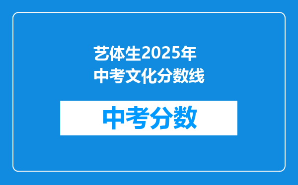 艺体生2025年中考文化分数线