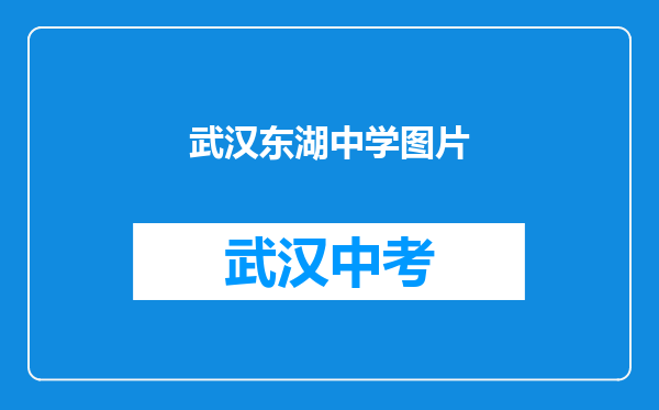 武汉东湖中学图片