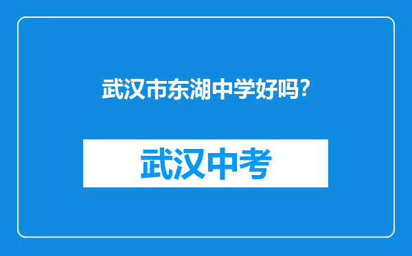 武汉市东湖中学好吗？