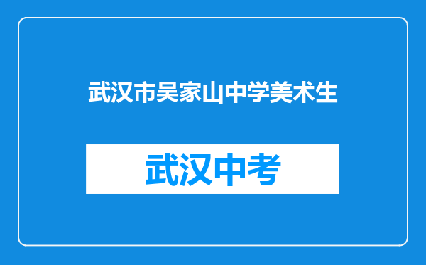 武汉市吴家山中学美术生