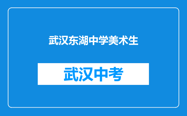武汉东湖中学美术生