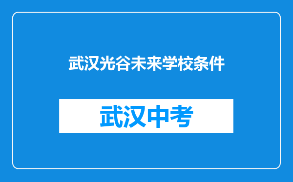 武汉光谷未来学校条件