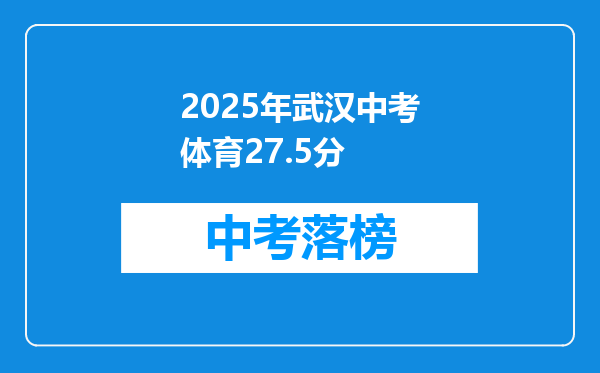 2026年武汉中考体育27.5分
