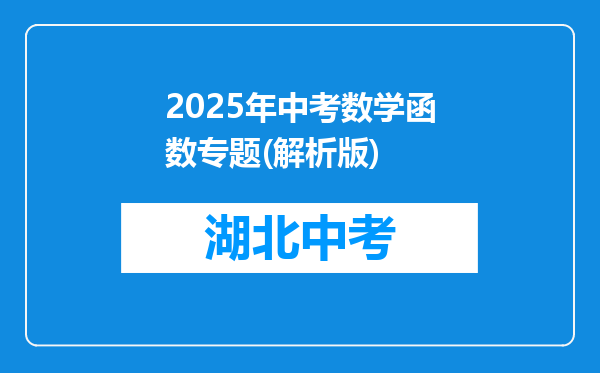 2026年中考数学函数专题(解析版)