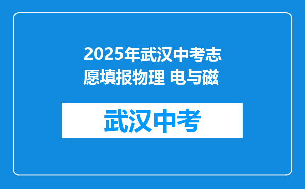 2025年武汉中考志愿填报物理 电与磁