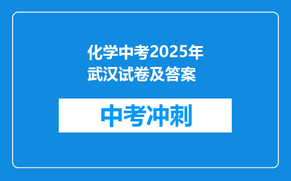 化学中考2026年武汉试卷及答案