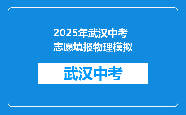 2025年武汉中考志愿填报物理模拟